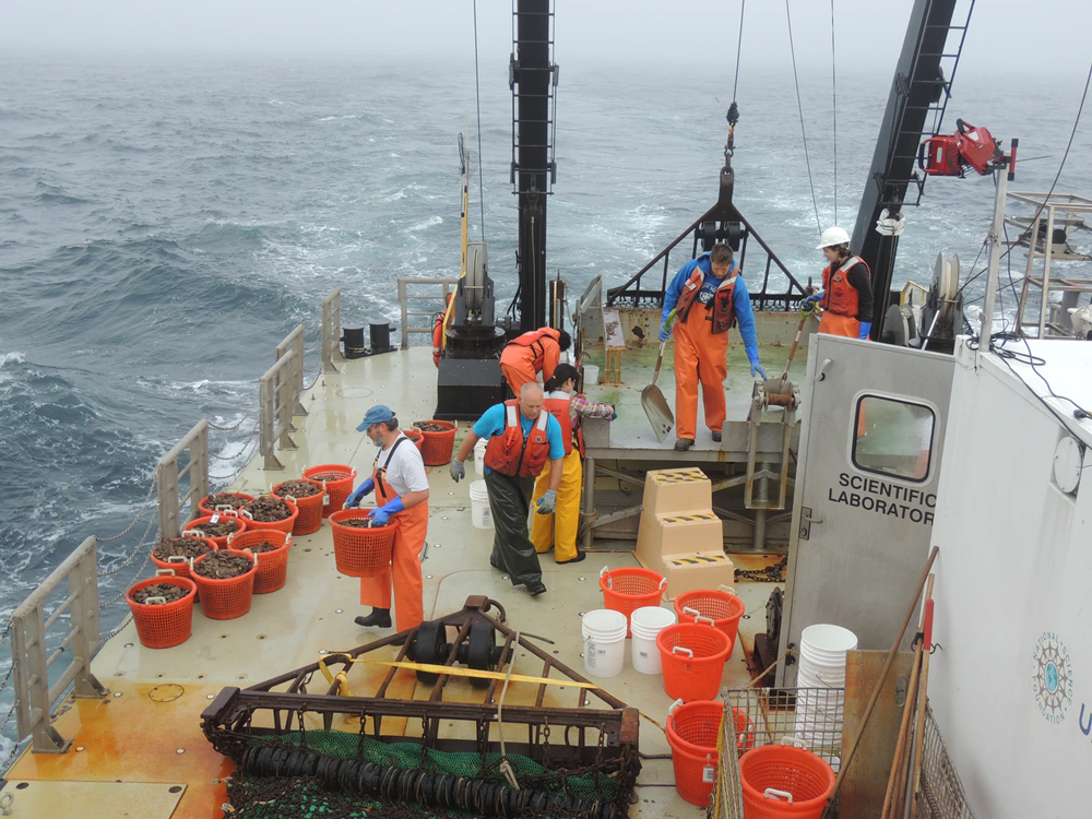 marine scientists at work on board a ship